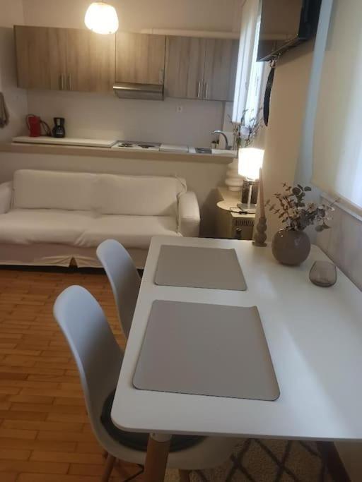 Beautiful Downtown Studio! يانينة المظهر الخارجي الصورة